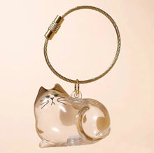 feline