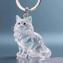 feline
